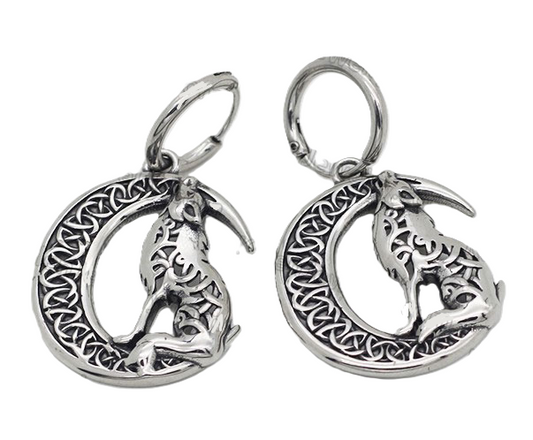 Stainless steel earrings-4